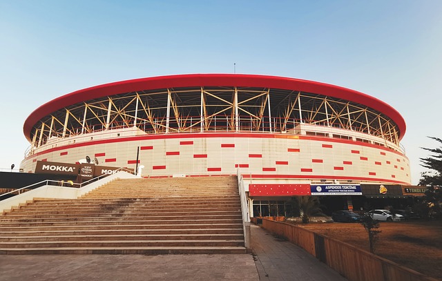 他的场上组 他的场上组