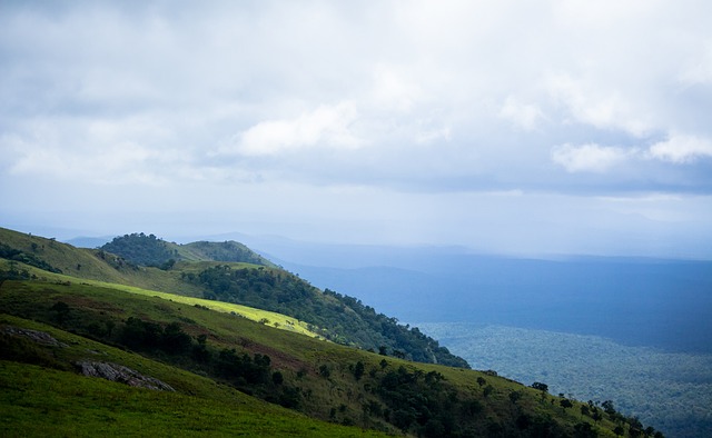 经验丰富的 经验丰富的
