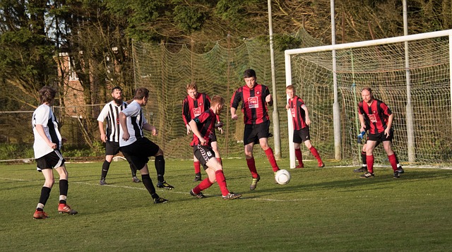 卫冕冠军为 卫冕冠军为