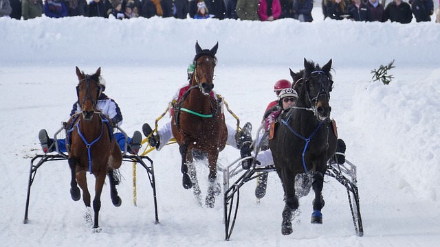 起伏不定 起伏不定