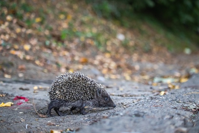 全面分析这 全面分析这