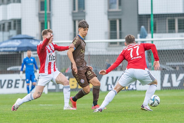 适应性与竞 适应性与竞