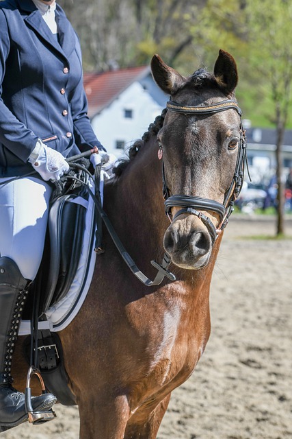 只有有效策 只有有效策