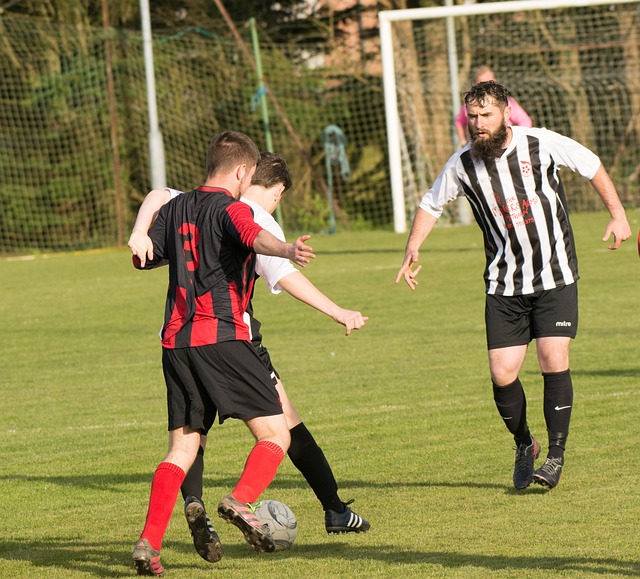 这不仅是对 这不仅是对