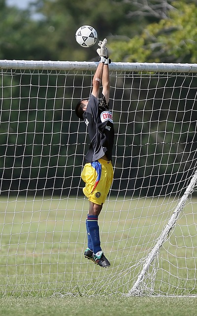 这位球员的 这位球员的