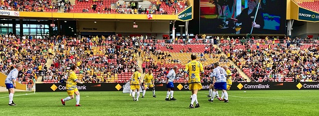 并迅速成为 并迅速成为